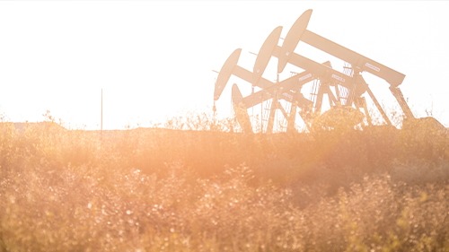 oil pumps in a field